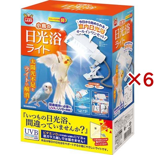 小鳥の日光浴ライト(6セット)[鳥 用品]