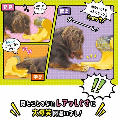 ドギーマン わんこのでるでる自飯器(6セット)[ペットの雑貨・ケアグッズ]_4