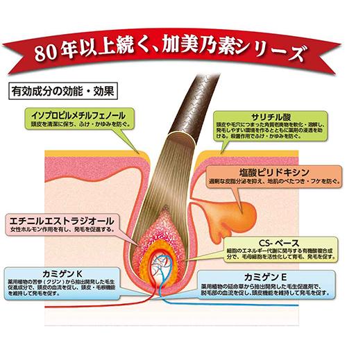 強力 加美乃素A 無香料(200ml*12箱セット)[男女兼用育毛剤]_3
