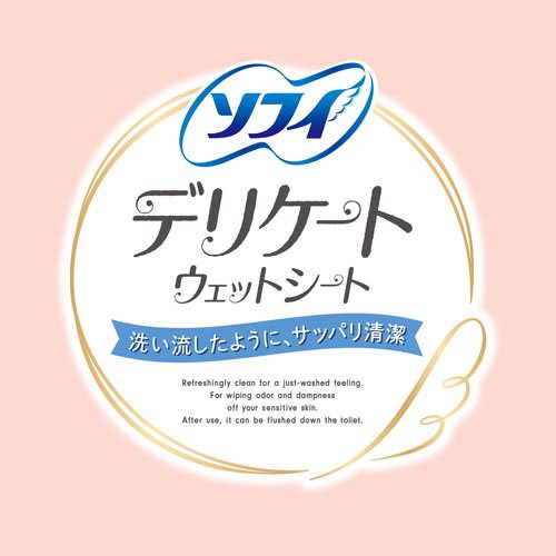 ソフィ デリケートウェット 無香料 ウェットティッシュ(10枚入×48セット)[ランジェリー洗剤・ビデ]_1