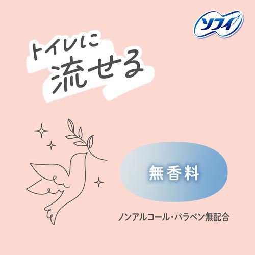 ソフィ デリケートウェット 無香料 ウェットティッシュ(10枚入×48セット)[ランジェリー洗剤・ビデ]_2