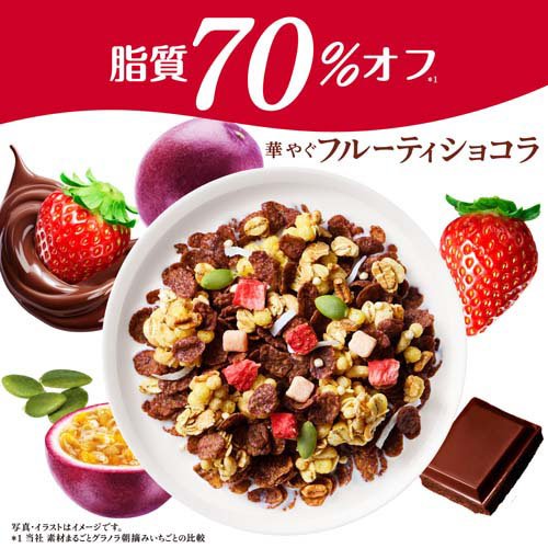 素材まるごとグラノラ 脂質70％オフ 華やぐフルーティショコラ(350g×12セット)[シリアル]_1