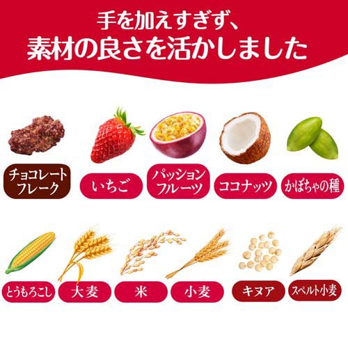 素材まるごとグラノラ 脂質70％オフ 華やぐフルーティショコラ(350g×12セット)[シリアル]_3