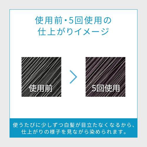 メンズビゲン カラーリンス ナチュラルブラック(160g*2本セット