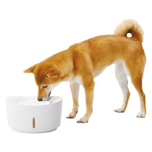 ピュアクリスタル ウェル 2.5L 犬用 ホワイト(3セット)[ペットの雑貨・ケアグッズ]_1