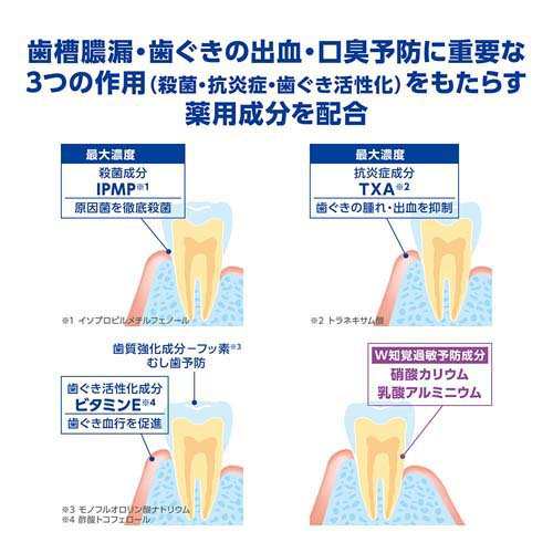 デントヘルス 薬用ハミガキ しみるブロック(85g*12箱セット)[大人用