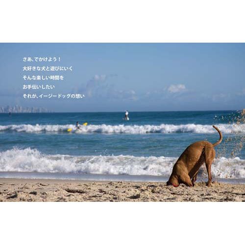EZYDOG DFDブースト イエロー XXXXS(1個)[犬の洋服]_2