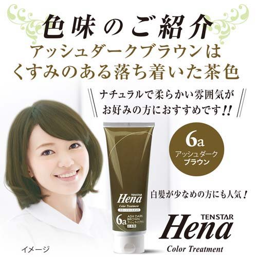 テンスター ヘナ カラートリートメント アッシュダークブラウン(250g*6