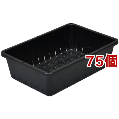 育苗コンテナー 6型 ブラック(75個セット)[園芸用資材・雑品]の通販は