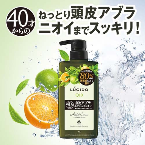 ルシード 薬用スカルプデオシャンプー ハーバルシトラス 詰替(380ml