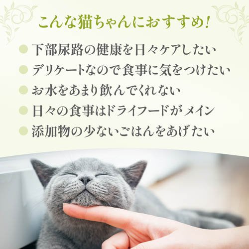 HappyDays Cherie まぐろ＆にんじんinグレービー 下部尿路の健康維持 成猫用(80g×24セット)[キャットフード(ウェット)]_5