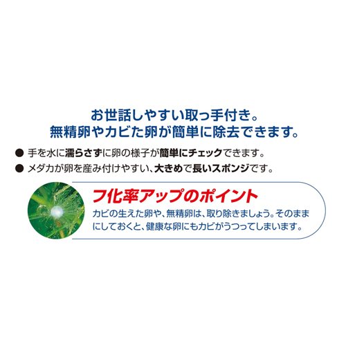 テトラ メダカのゆりかご産卵床 グリーン(48個セット)[観賞魚用 アクセサリー]_2