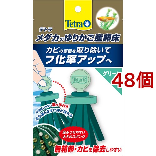 テトラ メダカのゆりかご産卵床 グリーン(48個セット)[観賞魚用 アクセサリー]