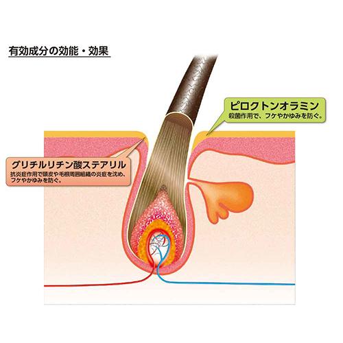 薬用加美乃素 ヘアコンディショナー(300ml*12本セット)[育毛コンディショナー]_3