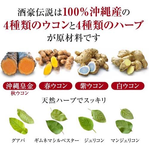 琉球 酒豪伝説(120包(6包袋*20袋))[ウコン(うこん)]_2