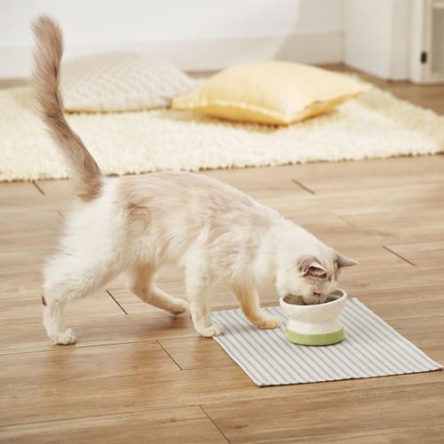アドメイト フードがこぼれにくい脚付き陶器食器 ドライフード向き(8セット)[ペットの雑貨・ケアグッズ]_1