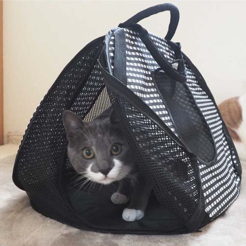 猫壱 ポータブルライトキャリー(24セット)[ペットのお散歩用品・おしゃれ]_1