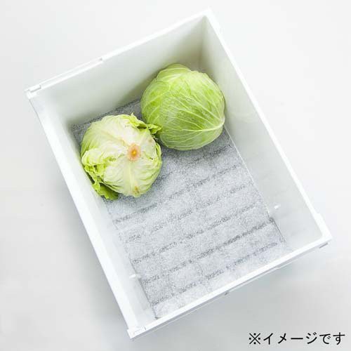 デオドライ 野菜フレッシュシートAg (1枚入)[除湿剤 防湿剤 乾燥剤