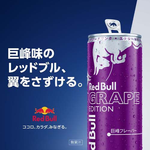レッドブル・エナジードリンク 葡萄～版(24本入×2仕かける(1本250ml))[活動力ドリンク]