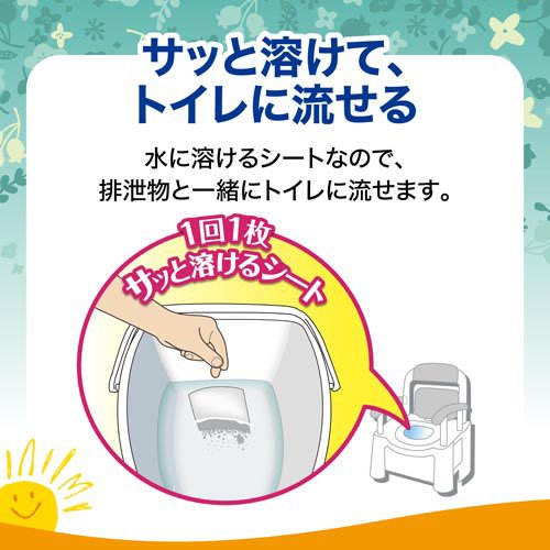 エールズ 介護用 消臭力 ポータブルトイレ消臭シート(30枚入*10袋セット)[消臭除菌・清拭剤]の通販は
