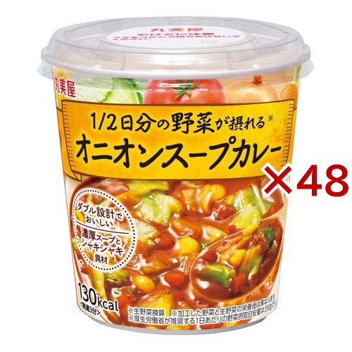 1／2日分野菜 スープカレー(102.2g×48セット)[ライス・お粥]