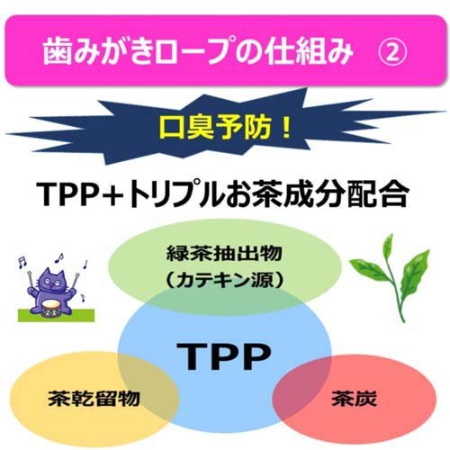 歯みがきロープ 愛猫用 ややかため かつお味(20g*60袋セット)[ペットの雑貨・ケアグッズ]_2