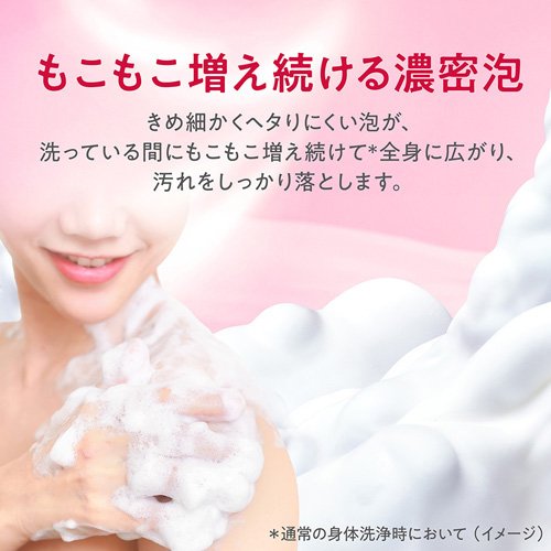 hadakara モイストボディケアソープ クリーミーソープの香り 泡タイプ 詰替用 大型(750ml*12袋セット)[ボディソープ]_3