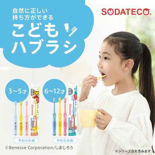 ソダテコ こどもハブラシ 3-5才用(120セット)[子供用歯ブラシ]