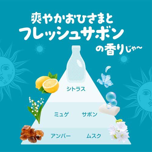 ボールド 柔軟剤入り 洗濯洗剤 液体 爽やかおひさまとフレッシュサボン