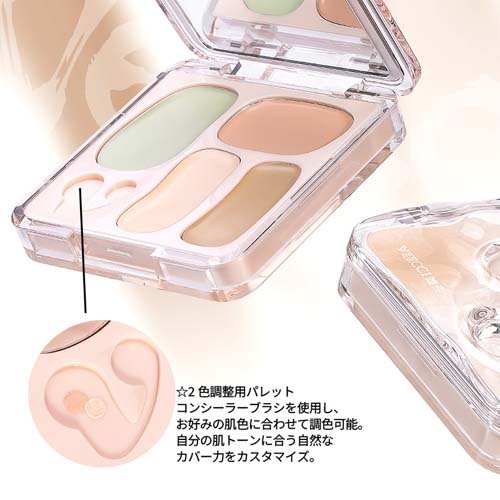 VEECCI(ヴィーチ) パーフェクトカバー 4色コンシーラー W01(4.5g×12セット)[コンシーラー]
