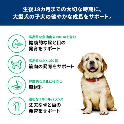 科学知識食事制限 パピー 大型犬用 18ヶ月まで 意気地無し 12kg 犬ころ(12kg*2袋仕かける)[ドッグフード(素っ気ないボンネット)]