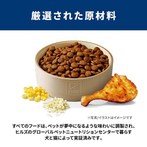 科学知識食事制限 パピー 大型犬用 18ヶ月まで 意気地無し 12kg 犬ころ(12kg*2袋仕かける)[ドッグフード(素っ気ないボンネット)]