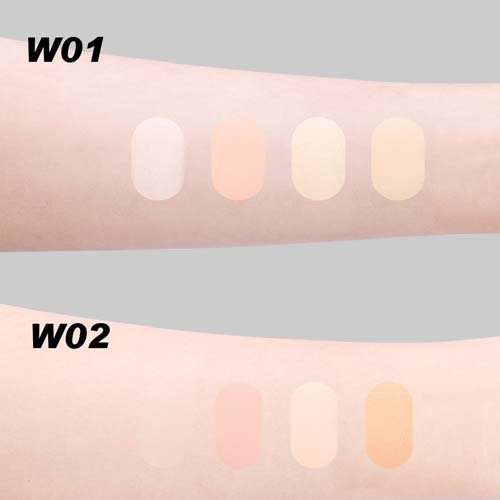 VEECCI(ヴィーチ) パーフェクトカバー 4色コンシーラー W02(4.5g×12セット)[コンシーラー]