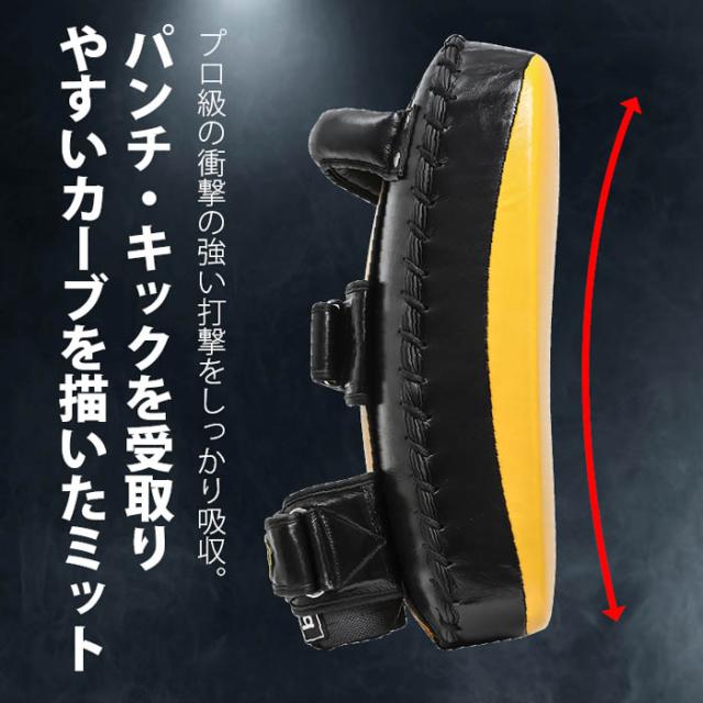 BODYMAKER(ボディメーカー) キックミットカーブ 本革 スパーリング