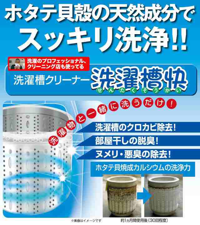 洗濯槽快 2包組ネットつき＋替用2包組×2個セット 洗濯槽 クロカビ除去