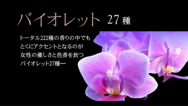 SAKURA 202 Scandal さくら サクラ 桜 フレグランス フェロモン 香水 レディース 匂い モテ香水〔mr-3234〕｜au PAY  マーケット