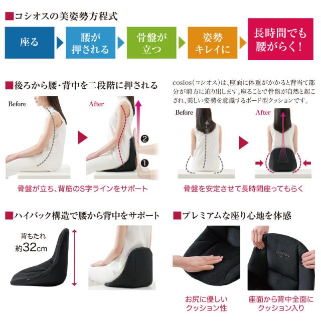 PREMIUM型姿勢矯正クッション Style premium DX 骨盤・姿勢矯正