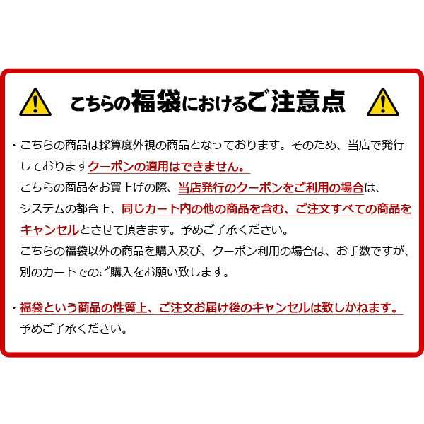 クーポン利用不可] ヘアアクセサリー６点入り 福袋 2024 ハッピー