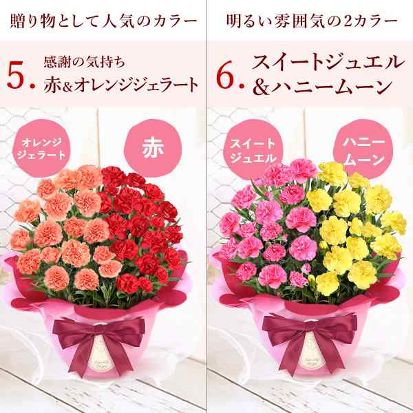 母の日 まだ間に合う 花とセット ギフト プレゼント 花鉢 寄せ植え 送料無料 選べる カーネーション 花とスイーツセット 5号鉢 Carnaの通販はau Pay マーケット おいもや