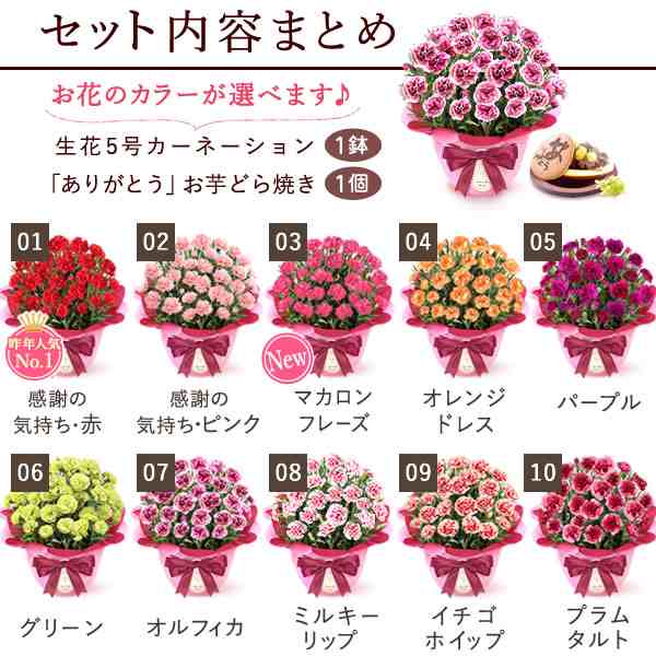 母の日 早割 花とセット 22 ギフト プレゼント カーネーション 花 鉢植え 花とセット 生花 送料無料 選べる色 花とスイーツセット どの通販はau Pay マーケット おいもや