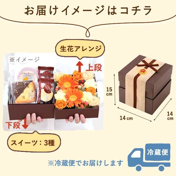 母の日 早割 花とセット花 ギフト ボックスフラワー カーネーション プレゼント 送料無料 アレンジメント 生花 花とスイーツセット ガーの通販はau Pay マーケット おいもや