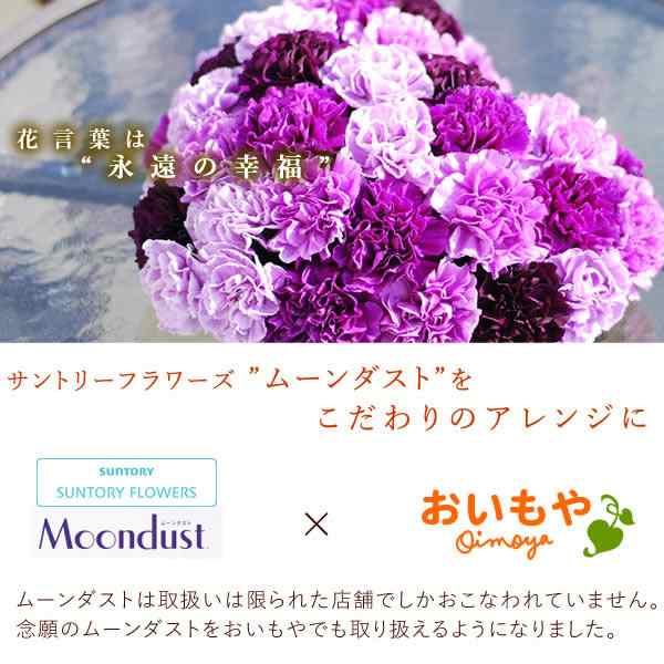 母の日 早割 花とセット ギフト プレゼント 送料無料 カーネーション ムーンダスト ハートアレンジ 花とスイーツセット アレンジメント の通販はau Pay マーケット おいもや