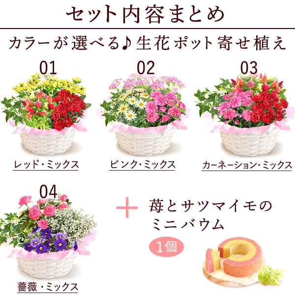 母の日 まだ間に合う 花とセット ギフト プレゼント 選べる寄せ植え カランコエ マーガレット スイーツ お菓子付き 新作aaの通販はau Pay マーケット おいもや