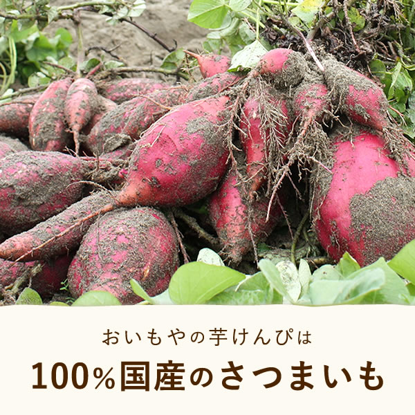 プチギフト 退職 お菓子 35個セット 個包装 芋けんぴ 芋かりんとう