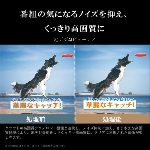 液晶テレビ 65型 65インチ 4K内蔵 レグザ TVS REGZA M550Mシリーズ 地上・BS・110度CSデジタル 65M550M_10
