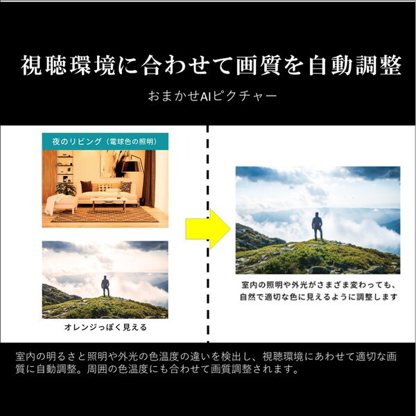 液晶テレビ 65型 65インチ 4K内蔵 レグザ TVS REGZA M550Mシリーズ 地上・BS・110度CSデジタル 65M550M_12