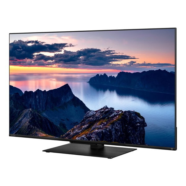 液晶テレビ 43型 43インチ 4K チューナー内蔵 レグザ TVS REGZA Z670N