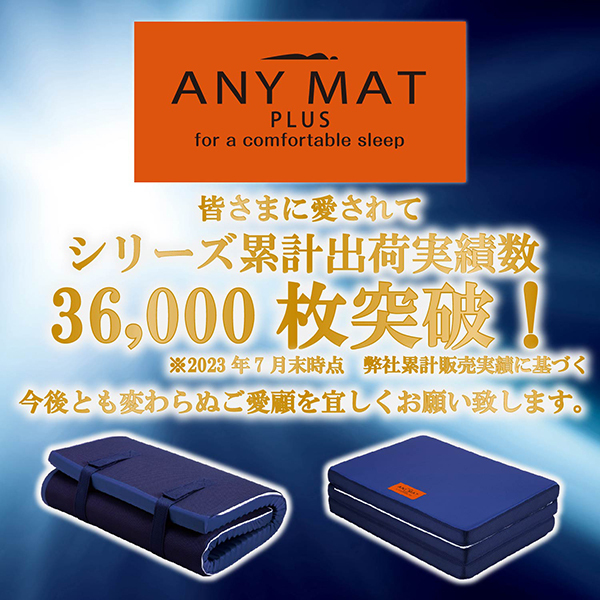 西川 マットレス シングル 高反発 エニーマットPLUS 通気性 洗える