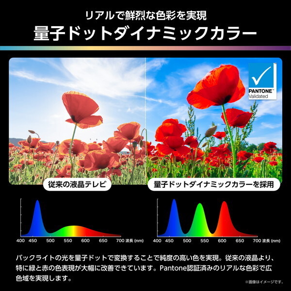 Hisense 85U9R [85V型 地上・BS・110度CSデジタル 4Kチューナー内蔵 4K対応 液晶テレビ]_10