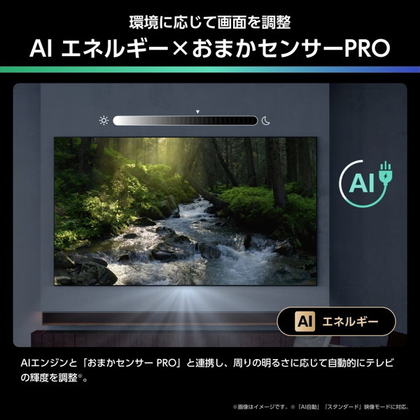 Hisense 43U6R [43V型 地上・BS・110度CSデジタル 4K内蔵 液晶テレビ]_12